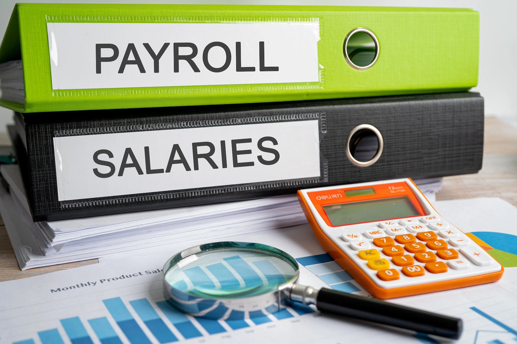 payroll-salaries-binder-data-finance-report-busi-2023-11-27-05-11-50-utc